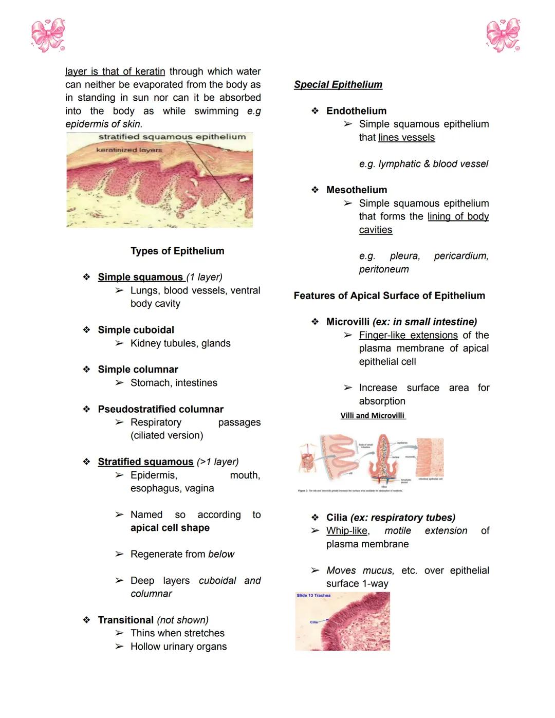 # BODY TISSUES
## Hierarchy of Structural Organization
> Each of these build upon one another to make up the next level:
> - Chemical lev