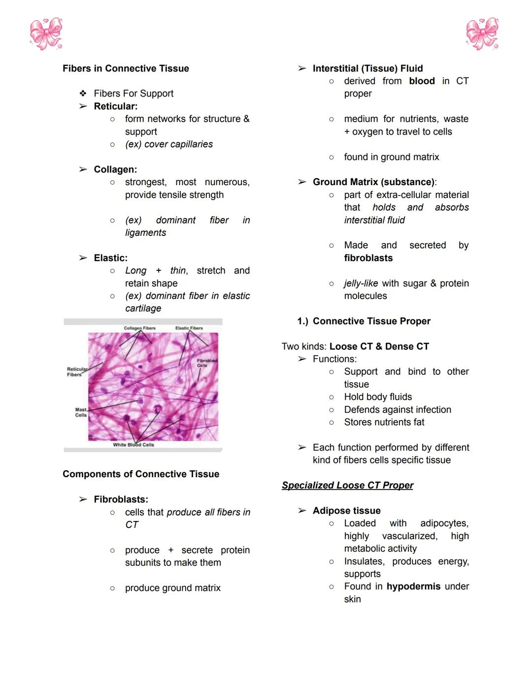 # BODY TISSUES
## Hierarchy of Structural Organization
> Each of these build upon one another to make up the next level:
> - Chemical lev