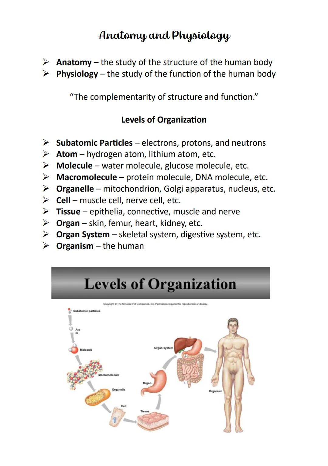 Anatomy and Physiology
➤ Anatomy - the study of the structure of the human body
➤ Physiology - the study of the function of the human body
"