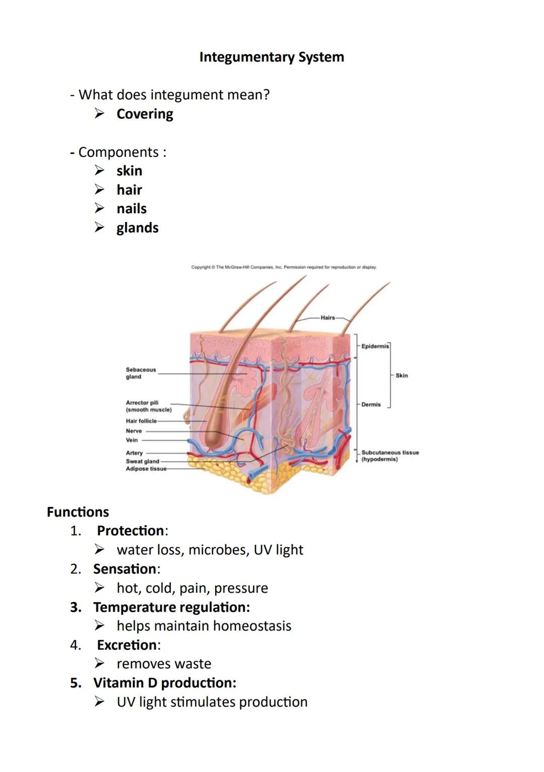 Anatomy and Physiology
➤ Anatomy - the study of the structure of the human body
➤ Physiology - the study of the function of the human body
"