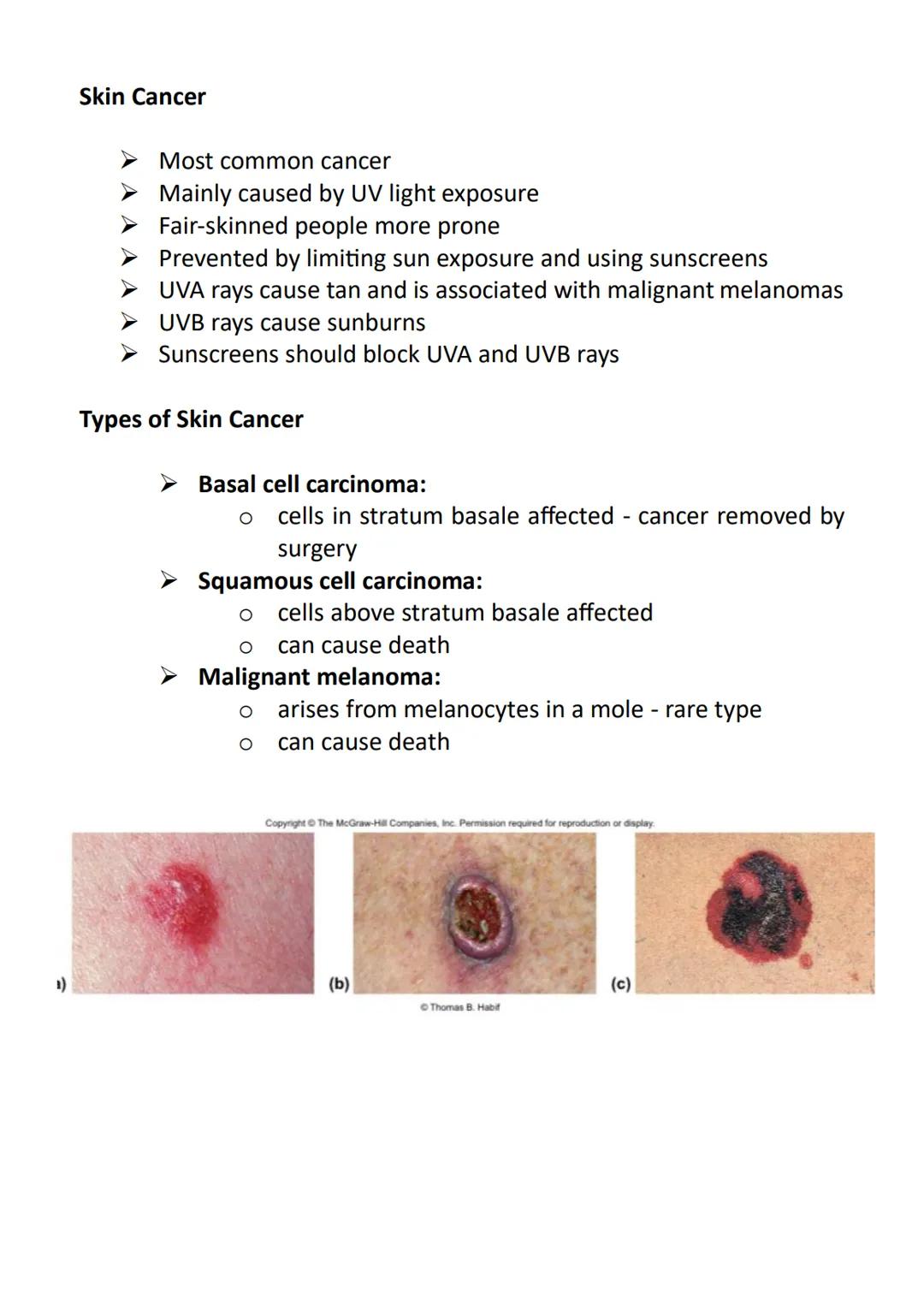 Anatomy and Physiology
➤ Anatomy - the study of the structure of the human body
➤ Physiology - the study of the function of the human body
"