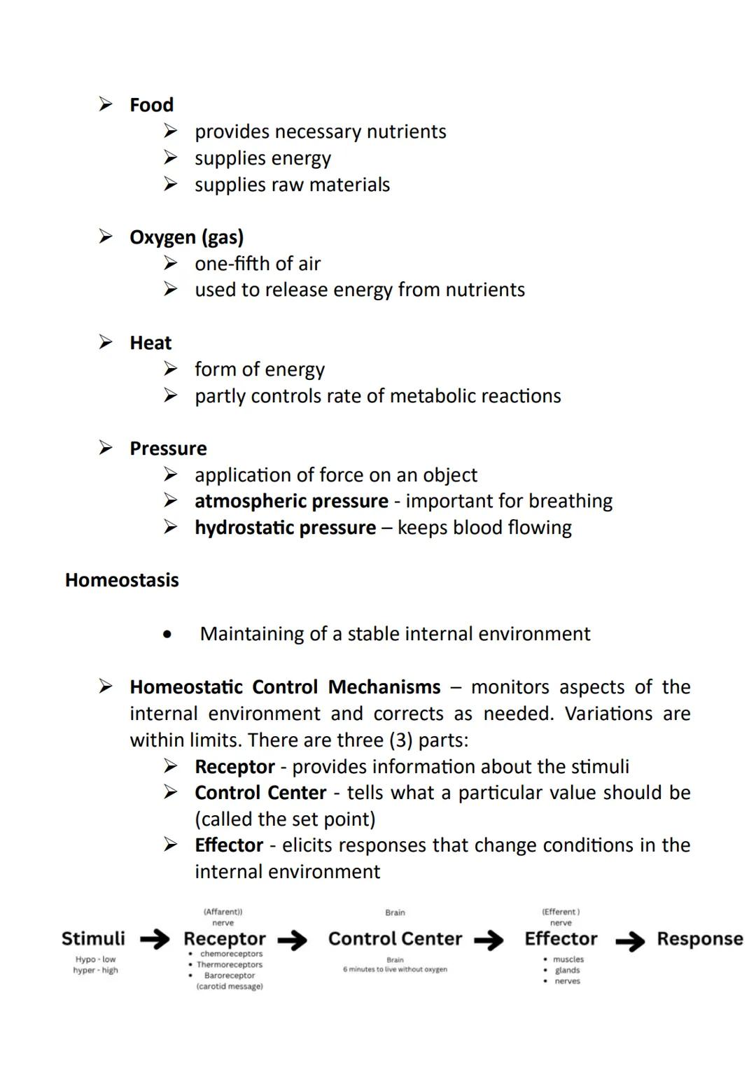 Anatomy and Physiology
➤ Anatomy - the study of the structure of the human body
➤ Physiology - the study of the function of the human body
"
