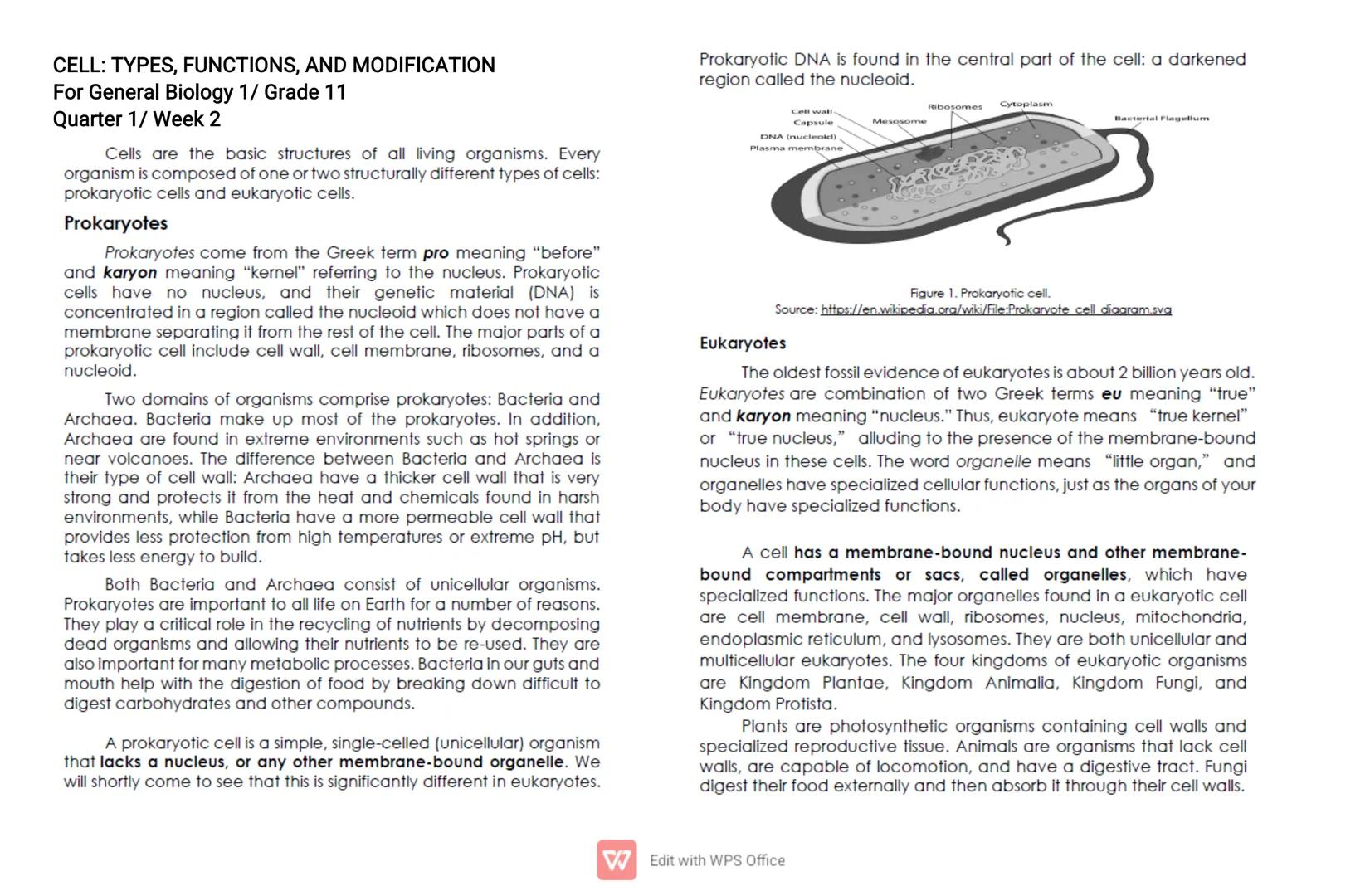 CELL: TYPES, FUNCTIONS, AND MODIFICATION
For General Biology 1/ Grade 11
Quarter 1/ Week 2
Cells are the basic structures of all living orga
