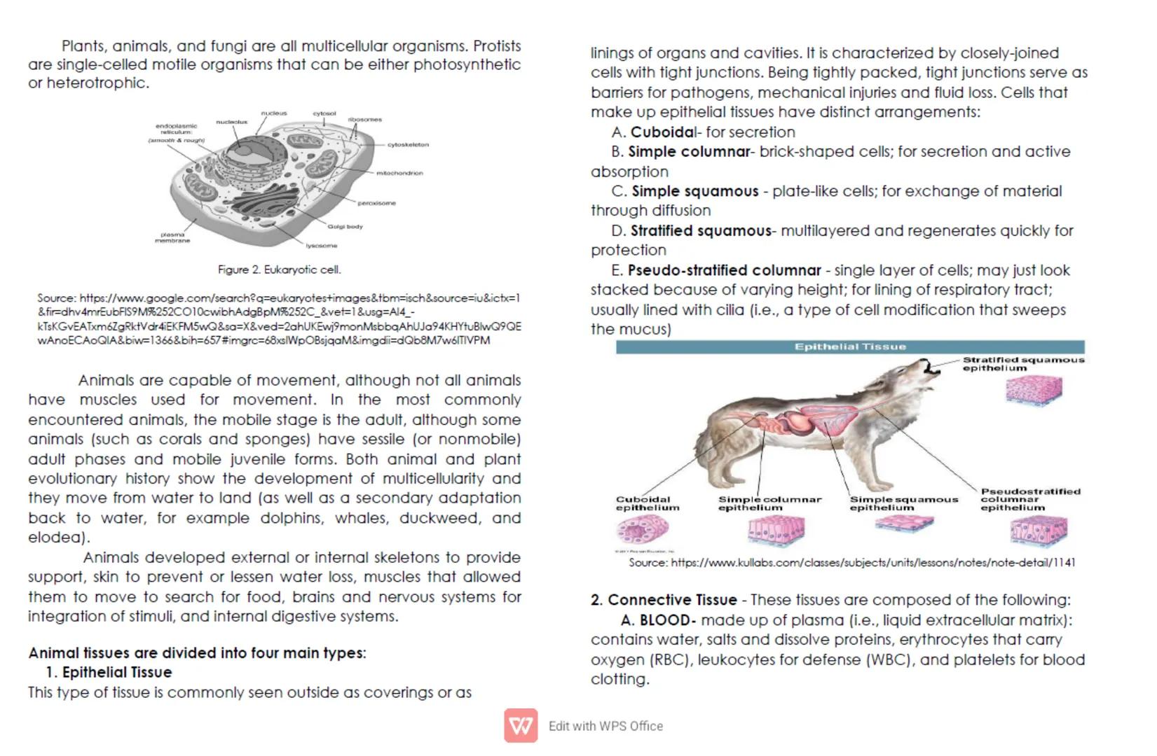 CELL: TYPES, FUNCTIONS, AND MODIFICATION
For General Biology 1/ Grade 11
Quarter 1/ Week 2
Cells are the basic structures of all living orga