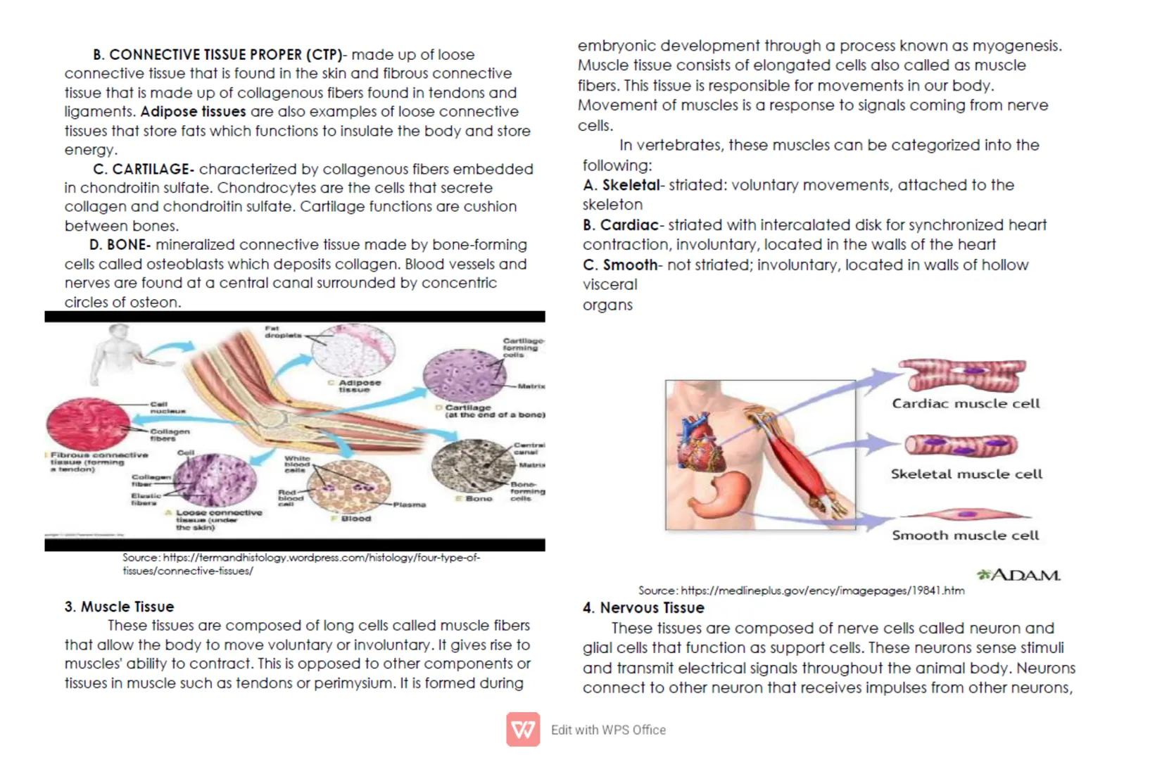CELL: TYPES, FUNCTIONS, AND MODIFICATION
For General Biology 1/ Grade 11
Quarter 1/ Week 2
Cells are the basic structures of all living orga