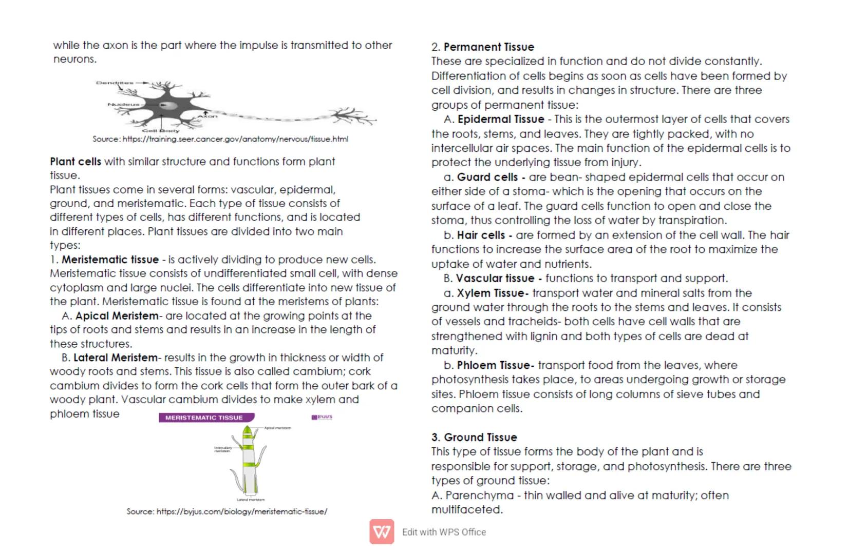 CELL: TYPES, FUNCTIONS, AND MODIFICATION
For General Biology 1/ Grade 11
Quarter 1/ Week 2
Cells are the basic structures of all living orga
