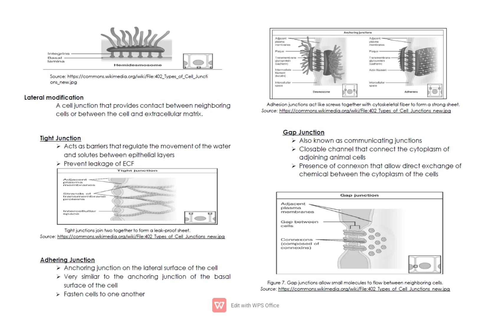 CELL: TYPES, FUNCTIONS, AND MODIFICATION
For General Biology 1/ Grade 11
Quarter 1/ Week 2
Cells are the basic structures of all living orga