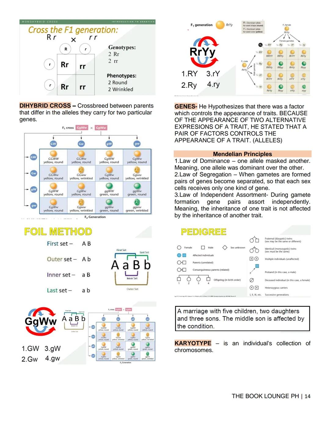 THE BOOK LOUNGE PH
GRADE 12 STEM NOTES AND LECTURES
General Biology 2
THE BOOK LOUNGE PH
COURSE MATERIAL 1
CELL CYCLE AND CELL DIVISION
Cell