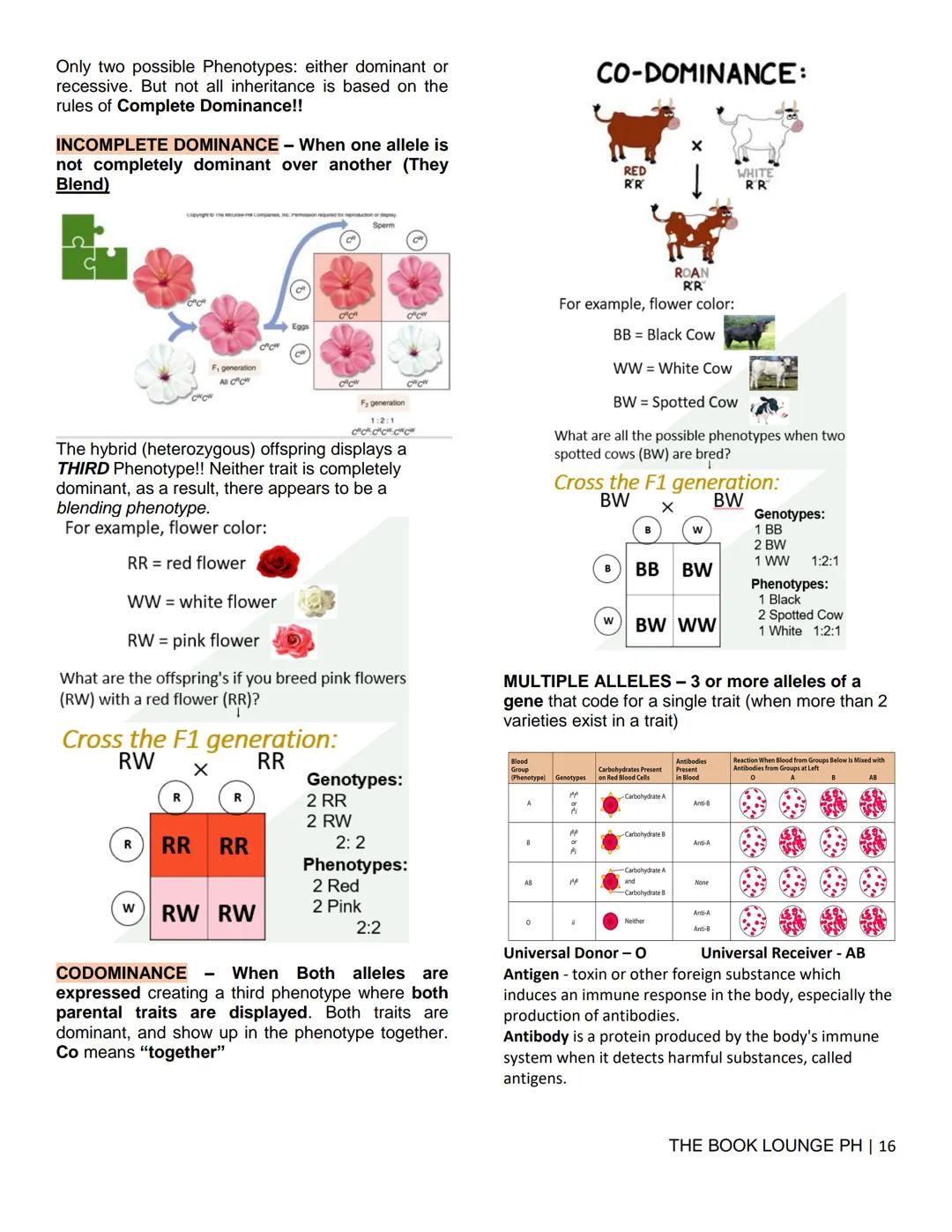THE BOOK LOUNGE PH
GRADE 12 STEM NOTES AND LECTURES
General Biology 2
THE BOOK LOUNGE PH
COURSE MATERIAL 1
CELL CYCLE AND CELL DIVISION
Cell