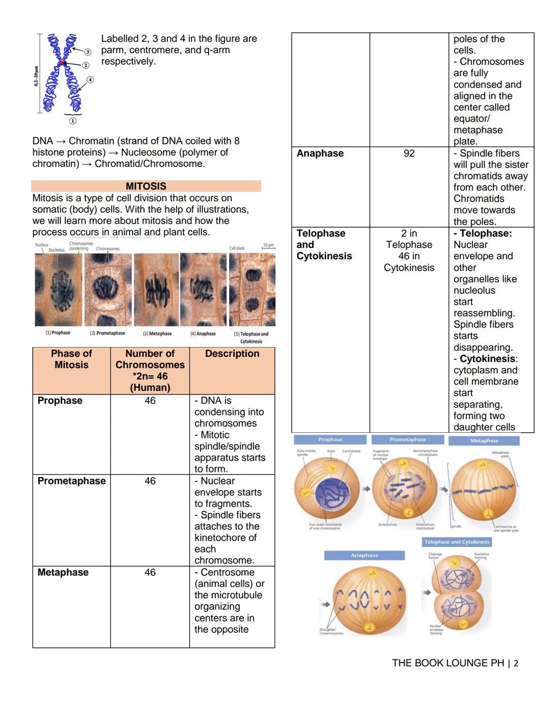 THE BOOK LOUNGE PH
GRADE 12 STEM NOTES AND LECTURES
General Biology 2
THE BOOK LOUNGE PH
COURSE MATERIAL 1
CELL CYCLE AND CELL DIVISION
Cell