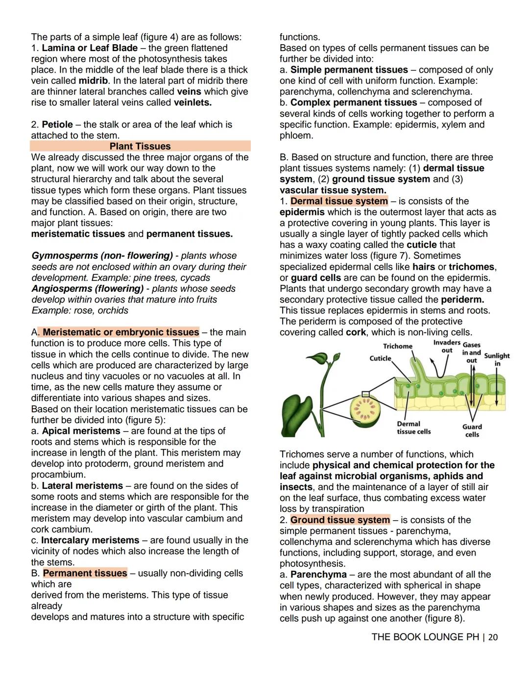 THE BOOK LOUNGE PH
GRADE 12 STEM NOTES AND LECTURES
General Biology 2
THE BOOK LOUNGE PH
COURSE MATERIAL 1
CELL CYCLE AND CELL DIVISION
Cell
