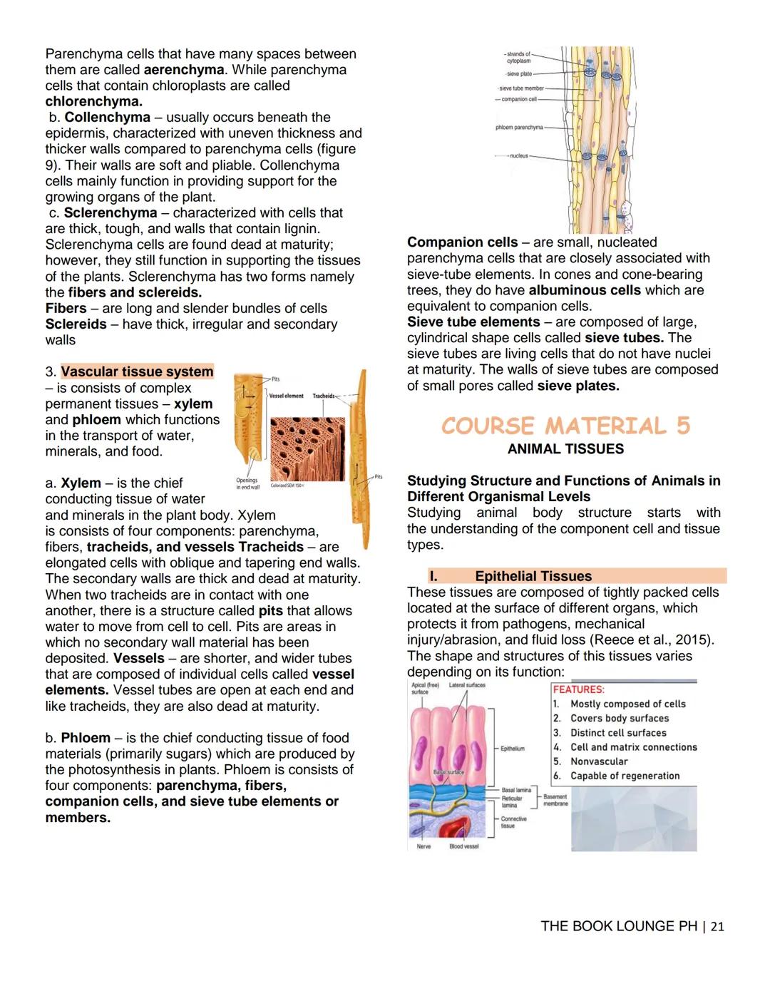 THE BOOK LOUNGE PH
GRADE 12 STEM NOTES AND LECTURES
General Biology 2
THE BOOK LOUNGE PH
COURSE MATERIAL 1
CELL CYCLE AND CELL DIVISION
Cell
