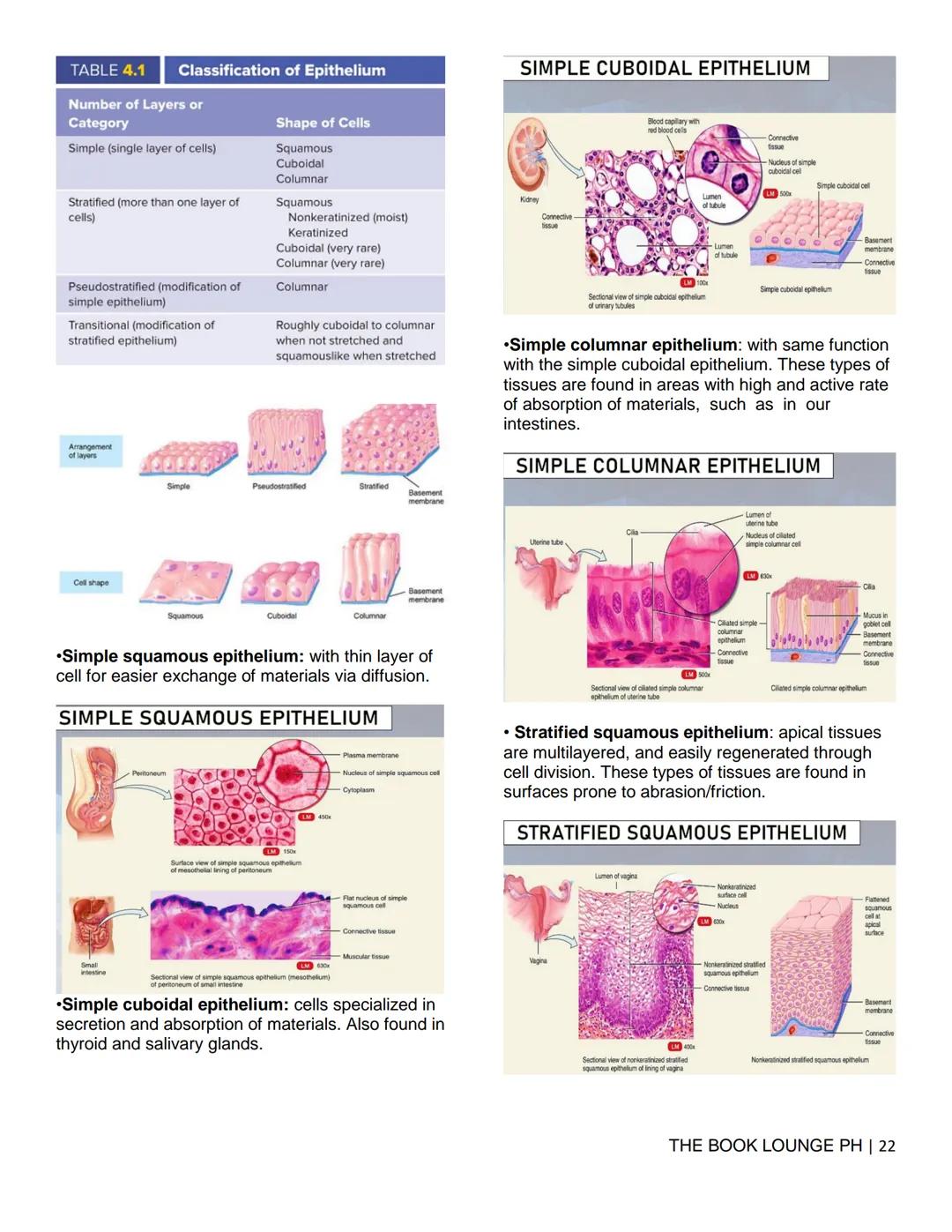 THE BOOK LOUNGE PH
GRADE 12 STEM NOTES AND LECTURES
General Biology 2
THE BOOK LOUNGE PH
COURSE MATERIAL 1
CELL CYCLE AND CELL DIVISION
Cell