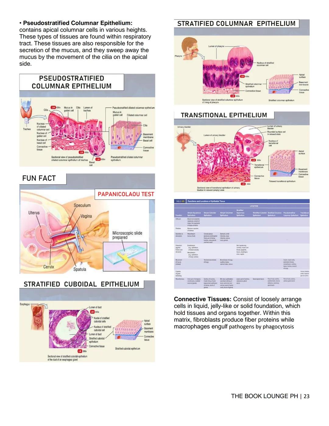 THE BOOK LOUNGE PH
GRADE 12 STEM NOTES AND LECTURES
General Biology 2
THE BOOK LOUNGE PH
COURSE MATERIAL 1
CELL CYCLE AND CELL DIVISION
Cell