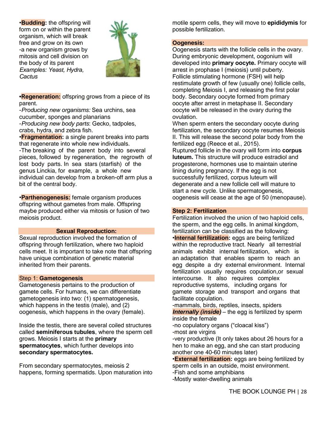 THE BOOK LOUNGE PH
GRADE 12 STEM NOTES AND LECTURES
General Biology 2
THE BOOK LOUNGE PH
COURSE MATERIAL 1
CELL CYCLE AND CELL DIVISION
Cell