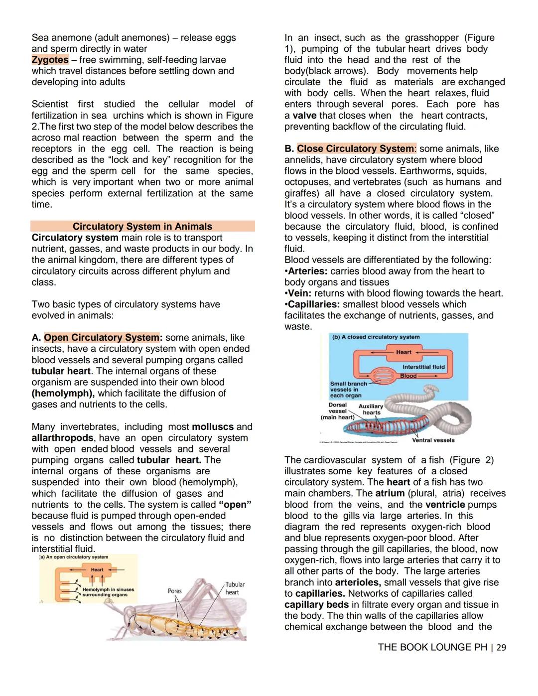 THE BOOK LOUNGE PH
GRADE 12 STEM NOTES AND LECTURES
General Biology 2
THE BOOK LOUNGE PH
COURSE MATERIAL 1
CELL CYCLE AND CELL DIVISION
Cell