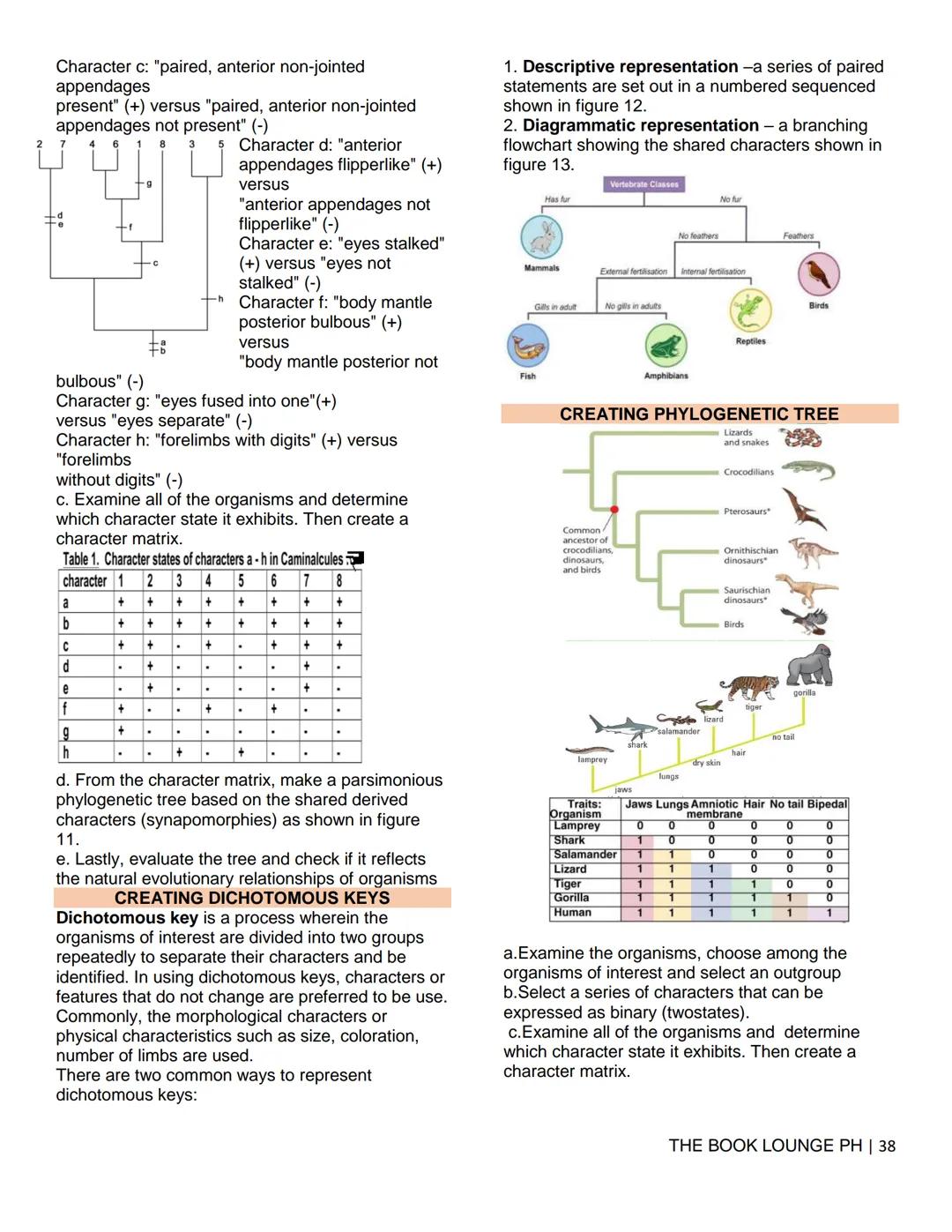 THE BOOK LOUNGE PH
GRADE 12 STEM NOTES AND LECTURES
General Biology 2
THE BOOK LOUNGE PH
COURSE MATERIAL 1
CELL CYCLE AND CELL DIVISION
Cell