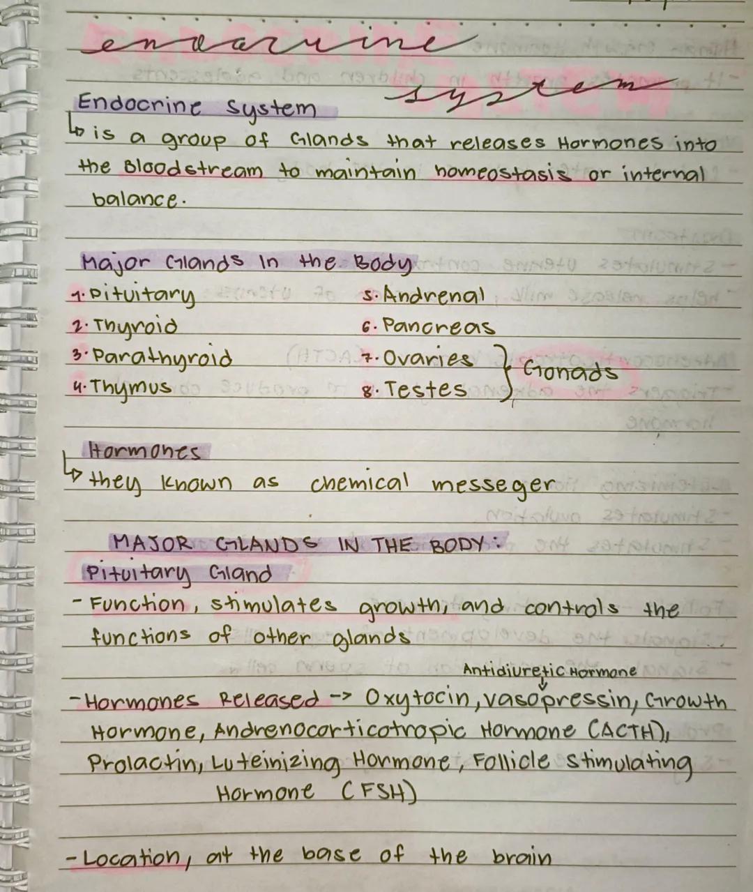 --- OCR Start ---
en
Endocrine system
ine
Lo is a group of Glands that releases Hormones into
the Bloodstream to maintain homeostasis or int