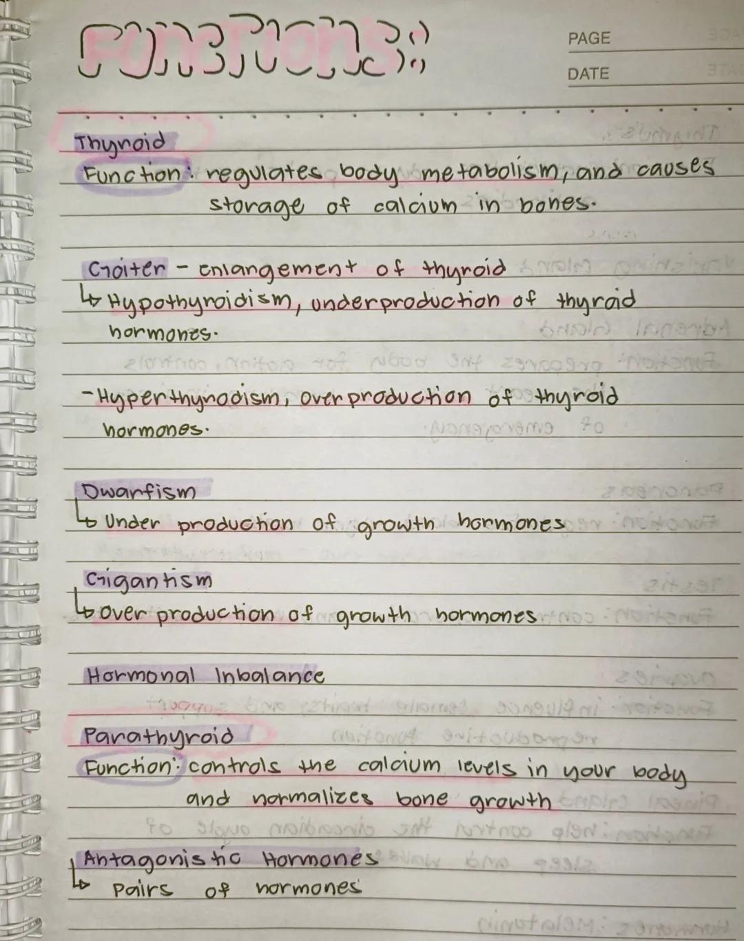 --- OCR Start ---
en
Endocrine system
ine
Lo is a group of Glands that releases Hormones into
the Bloodstream to maintain homeostasis or int