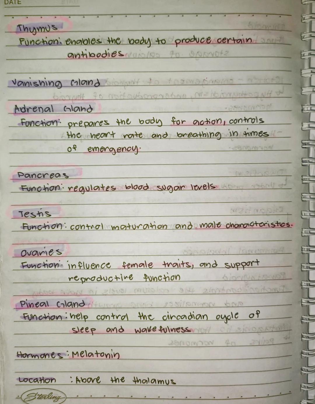 --- OCR Start ---
en
Endocrine system
ine
Lo is a group of Glands that releases Hormones into
the Bloodstream to maintain homeostasis or int