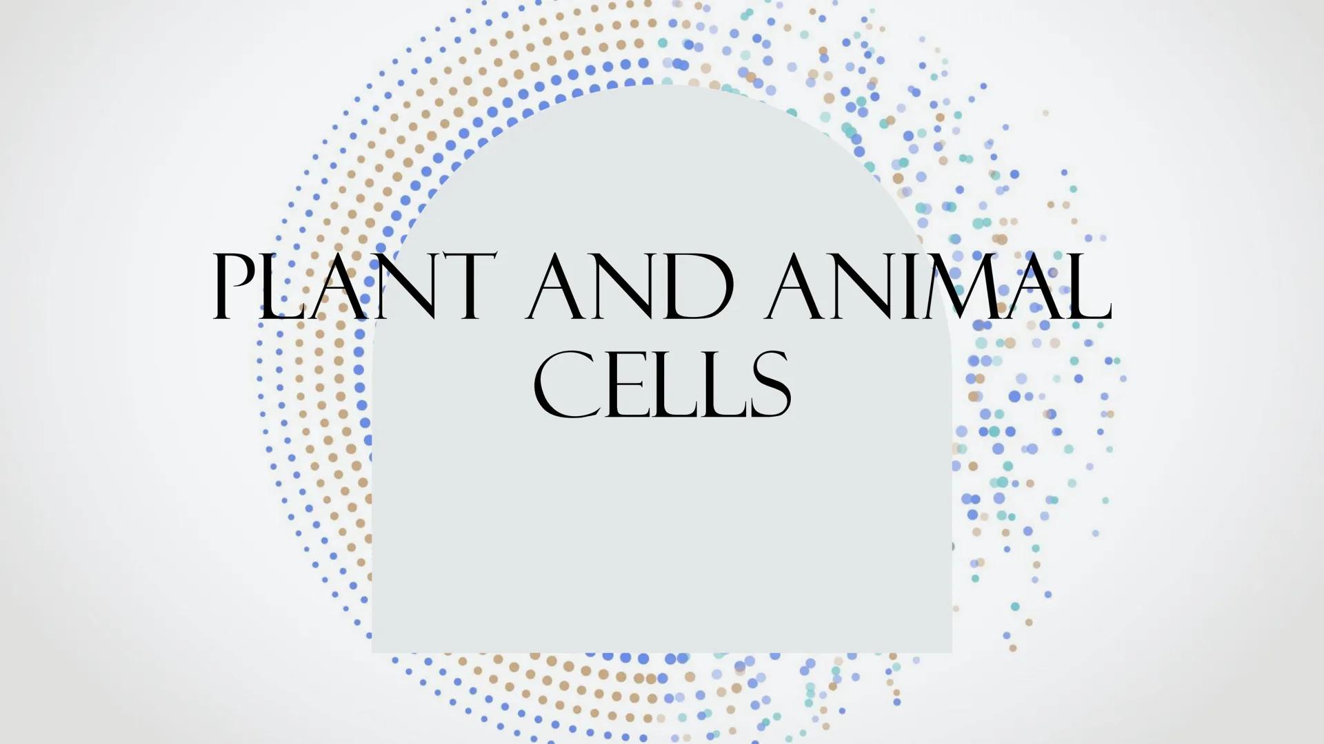 # PLANT AND ANIMAL
CELLS OBJECTIVES
• Describe the structure and function of a plant cell
• Describe the structure of an animal cell
• Comp