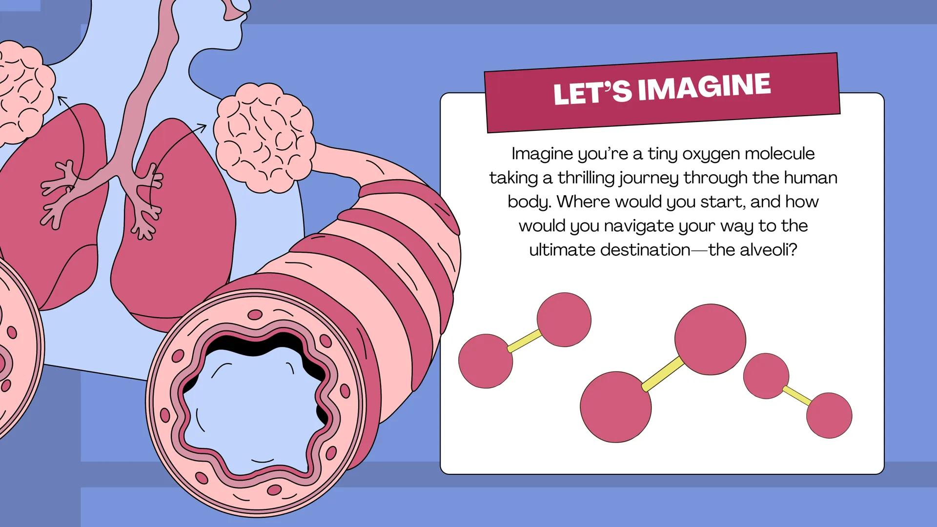 # THE BODY SYSTEMS
# THE HUMAN
# RESPIRATORY
# SYSTEM LET'S IMAGINE
Imagine you're a tiny oxygen molecule
taking a thrilling journey throug
