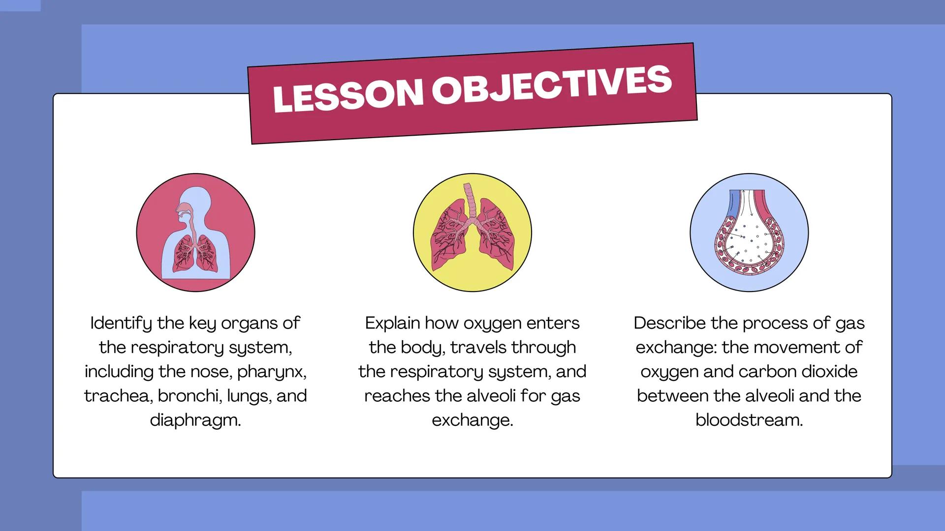 # THE BODY SYSTEMS
# THE HUMAN
# RESPIRATORY
# SYSTEM LET'S IMAGINE
Imagine you're a tiny oxygen molecule
taking a thrilling journey throug