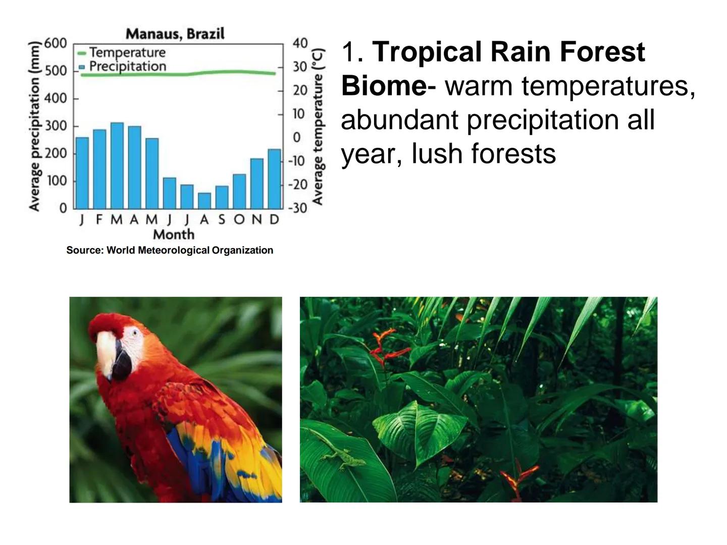 # UNIT 5
Chapter 15
The Biosphere UNIT 5: ECOLOGY
Chapter 15: The Biosphere
I. Life in the Earth System (15.1)
A. The biosphere is the por