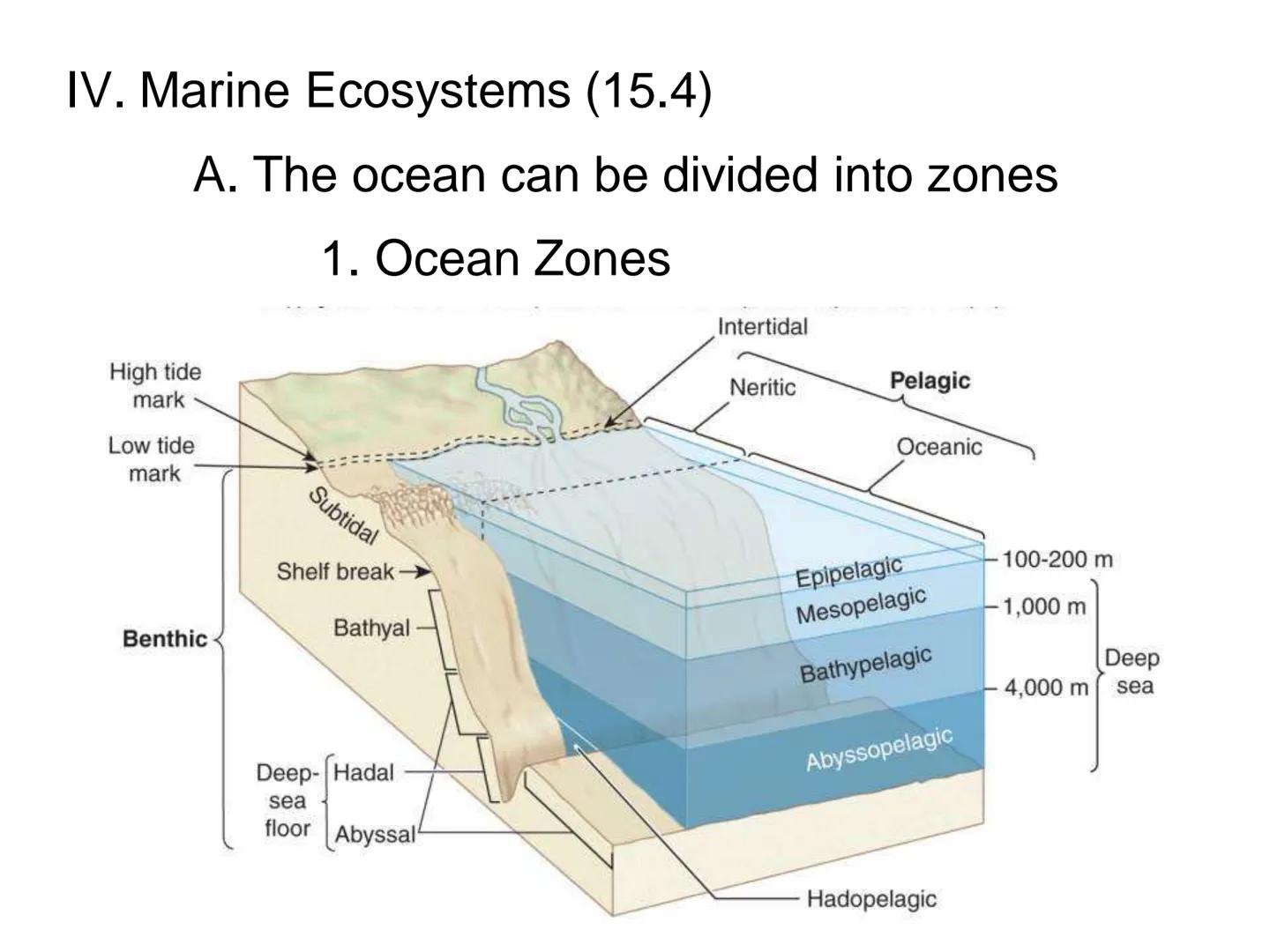 # UNIT 5
Chapter 15
The Biosphere UNIT 5: ECOLOGY
Chapter 15: The Biosphere
I. Life in the Earth System (15.1)
A. The biosphere is the por