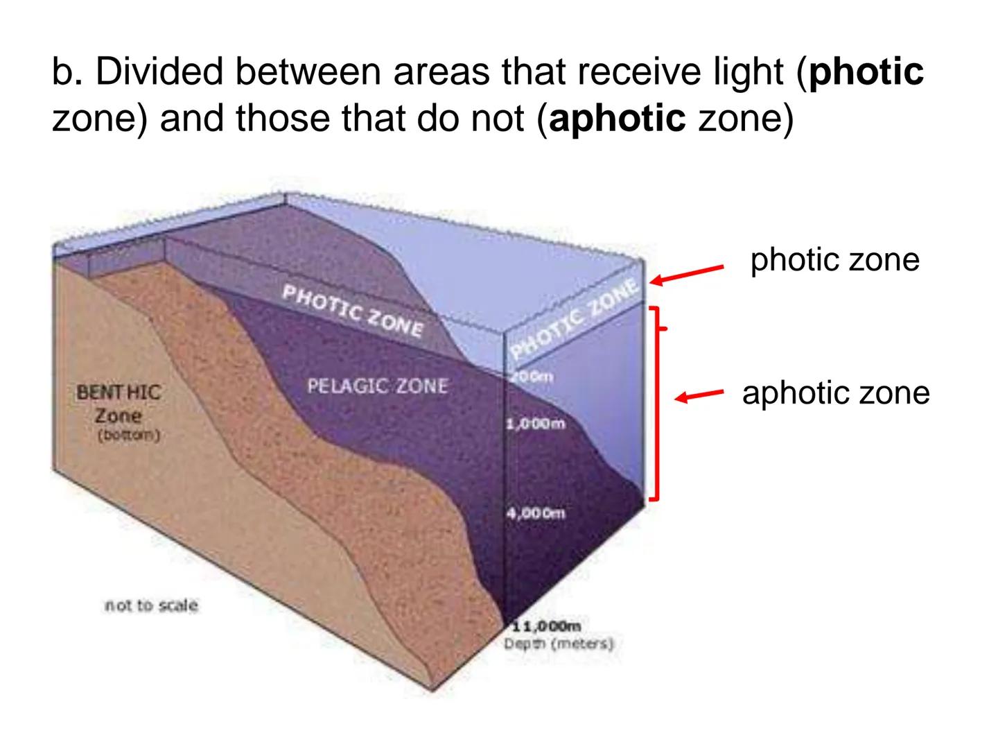 # UNIT 5
Chapter 15
The Biosphere UNIT 5: ECOLOGY
Chapter 15: The Biosphere
I. Life in the Earth System (15.1)
A. The biosphere is the por