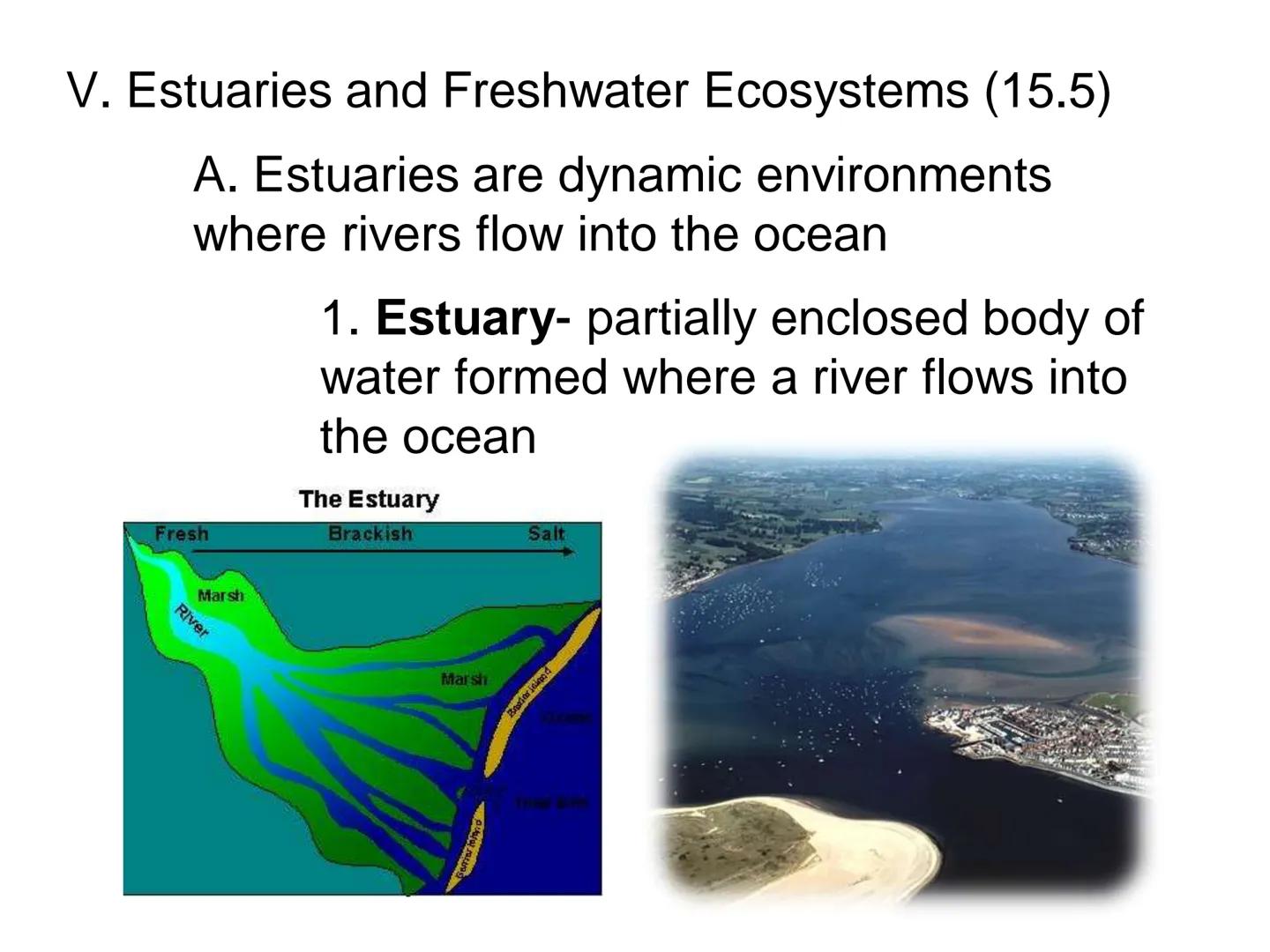# UNIT 5
Chapter 15
The Biosphere UNIT 5: ECOLOGY
Chapter 15: The Biosphere
I. Life in the Earth System (15.1)
A. The biosphere is the por