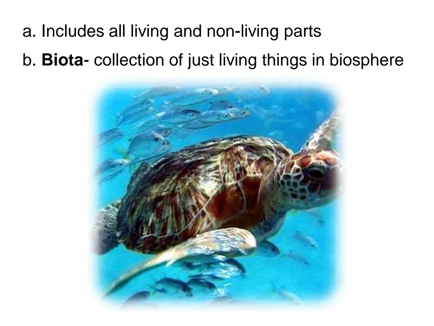 # UNIT 5
Chapter 15
The Biosphere UNIT 5: ECOLOGY
Chapter 15: The Biosphere
I. Life in the Earth System (15.1)
A. The biosphere is the por