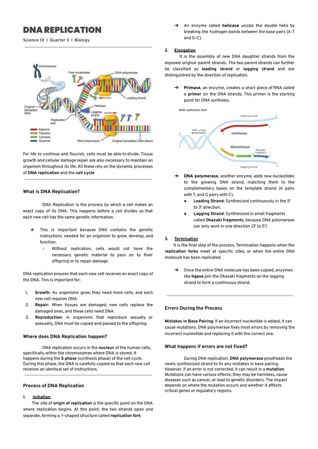 DNA REPLICATION
Science 10 | Quarter 3 | Biology
Chromosome
Free nucleotides
→ An enzyme called helicase unzips the double helix by
breaking