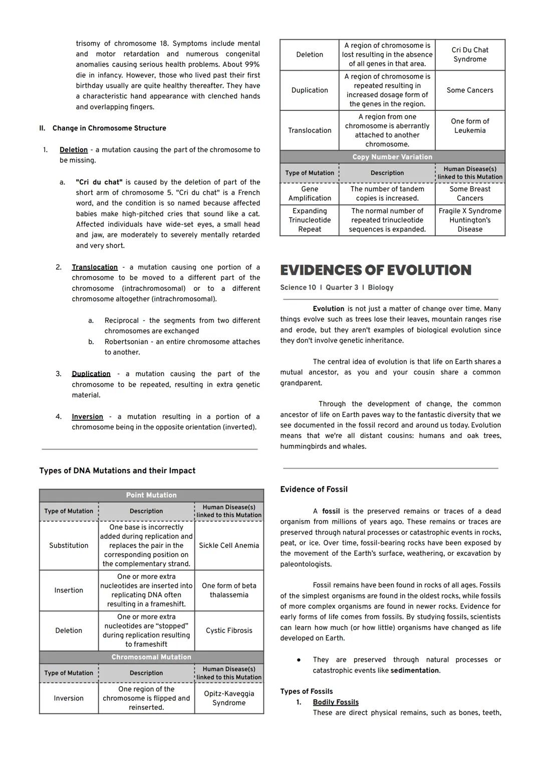 DNA REPLICATION
Science 10 | Quarter 3 | Biology
Chromosome
Free nucleotides
→ An enzyme called helicase unzips the double helix by
breaking