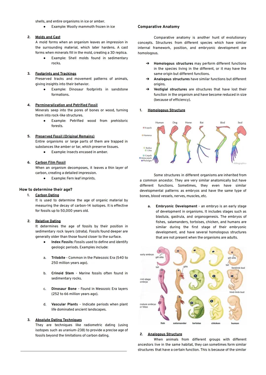 DNA REPLICATION
Science 10 | Quarter 3 | Biology
Chromosome
Free nucleotides
→ An enzyme called helicase unzips the double helix by
breaking