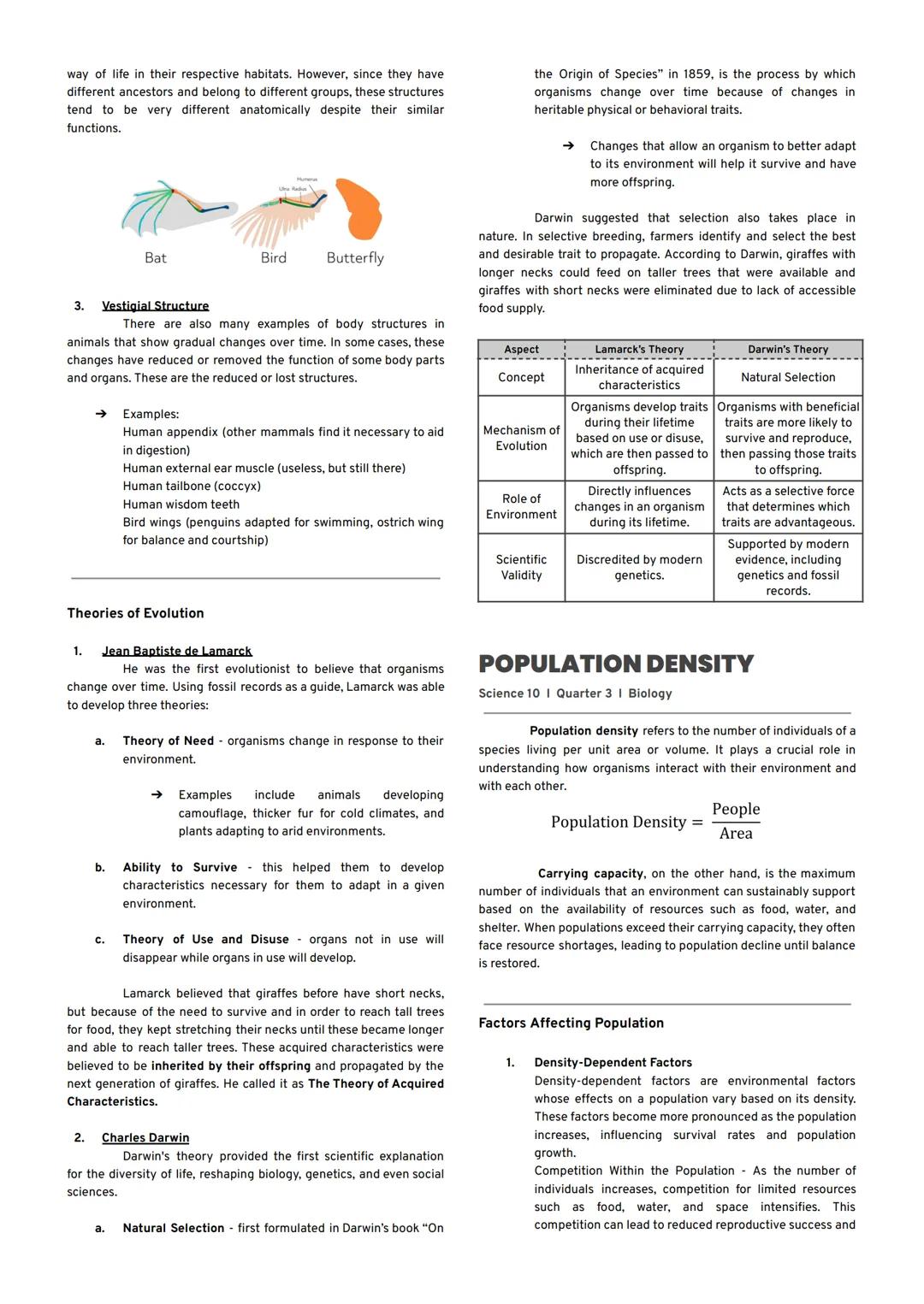 DNA REPLICATION
Science 10 | Quarter 3 | Biology
Chromosome
Free nucleotides
→ An enzyme called helicase unzips the double helix by
breaking