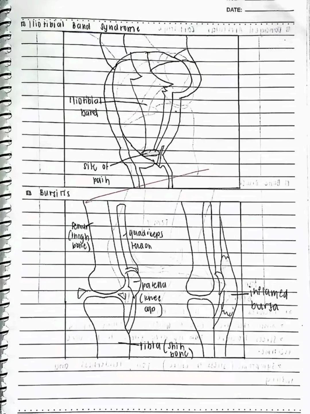 lecture notes in
ะะะ ะะ 9
03/02/24
Fitness
UNDERWEIGHT
EXCELLENT 5:
GOOD 3
FAIR 2
GOOD 1
MY GOOD SCORE: 8
SprengLeaf
DO NOT RE-UPLOAD | @jona