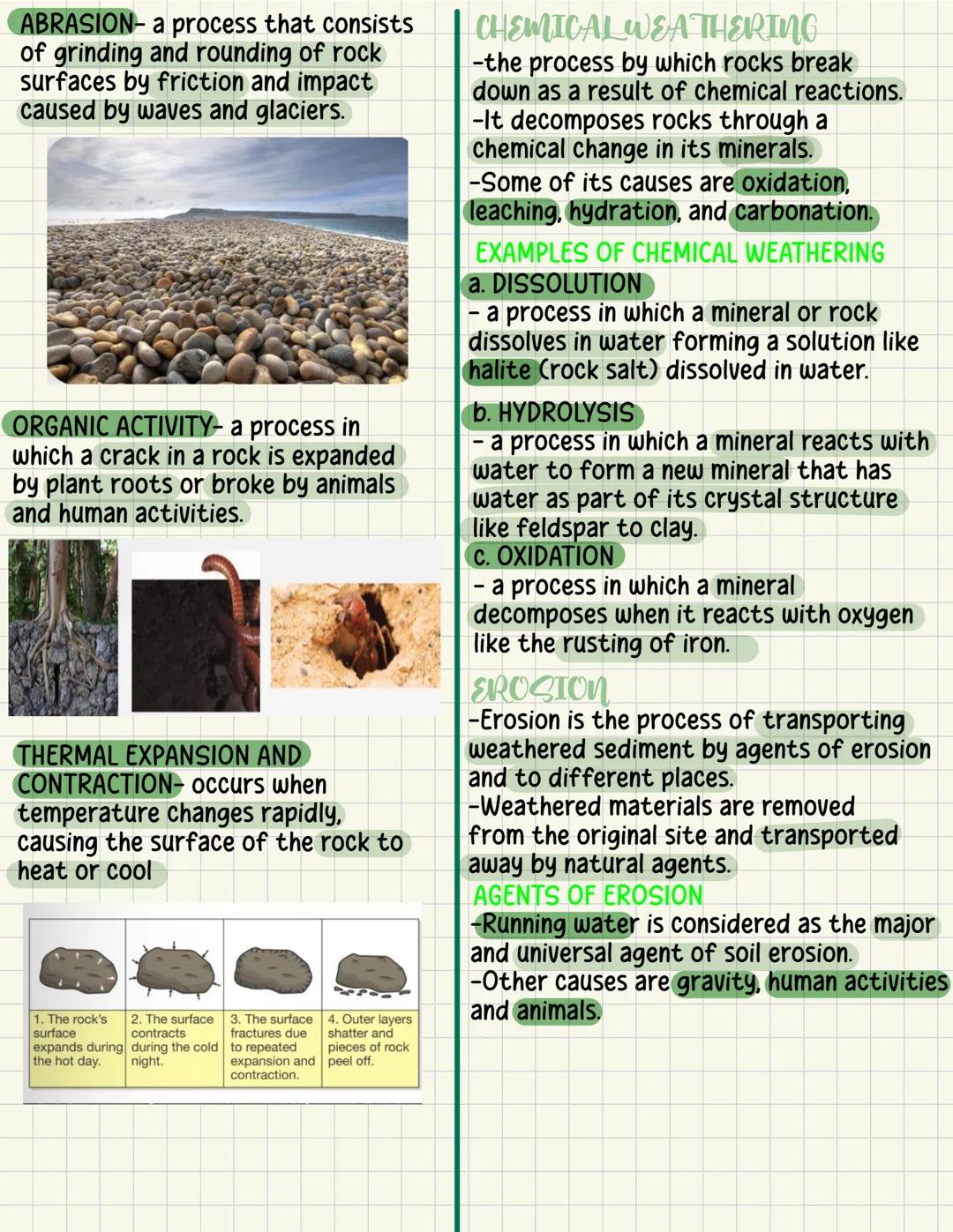 Gaseous Waste
Utilization of different sources of
energy contributes to the generation
of gaseous wastes. Gaseous wastes
may cause air pollu