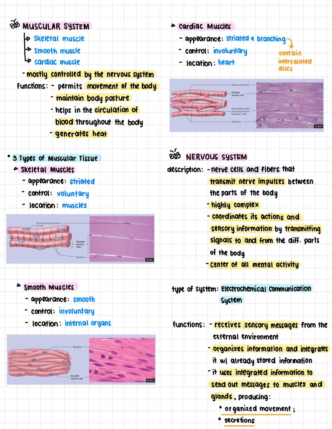 A. Terms:
health science
• Anatomy- the structure and shape of the
body and body parts
• Physiology - the function of the body and
its parts