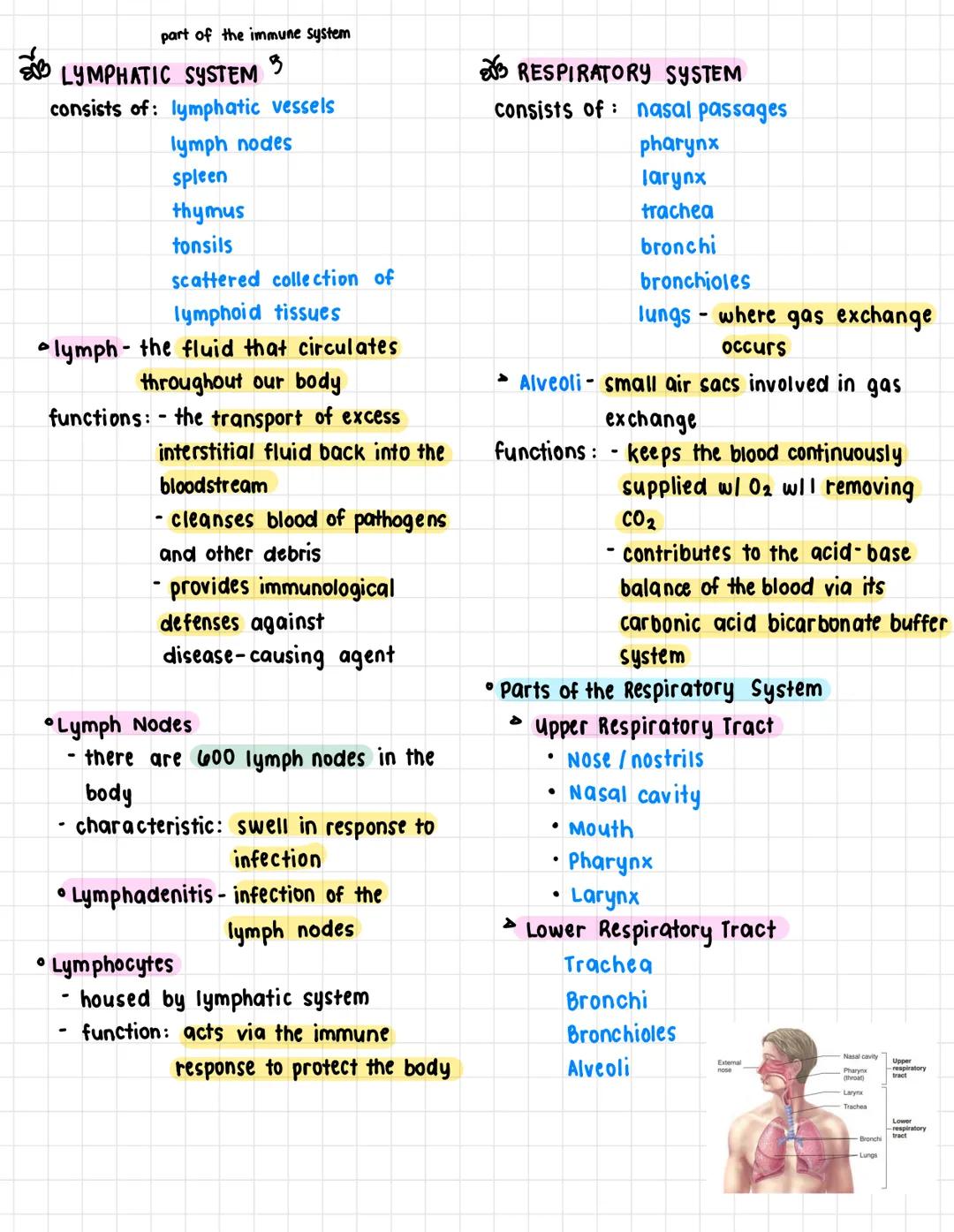 A. Terms:
health science
• Anatomy- the structure and shape of the
body and body parts
• Physiology - the function of the body and
its parts