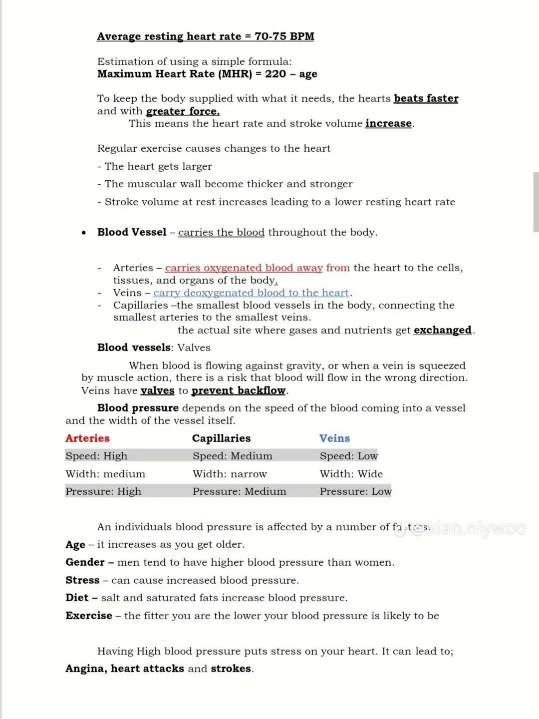 II. The Circulatory System
• The circulatory system is the life support structure that nourishes your
cells with nutrients from the food yo