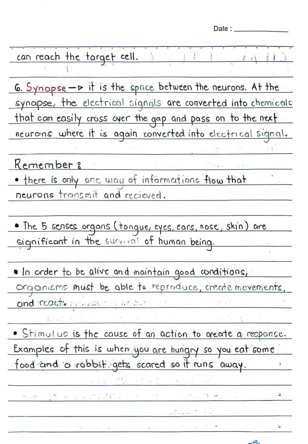 3RD QUARTER
Date:
Body
erve cells, send and recieve
neurons have a lot in
Ils, they're structurally
on many scientific research,
of neurons