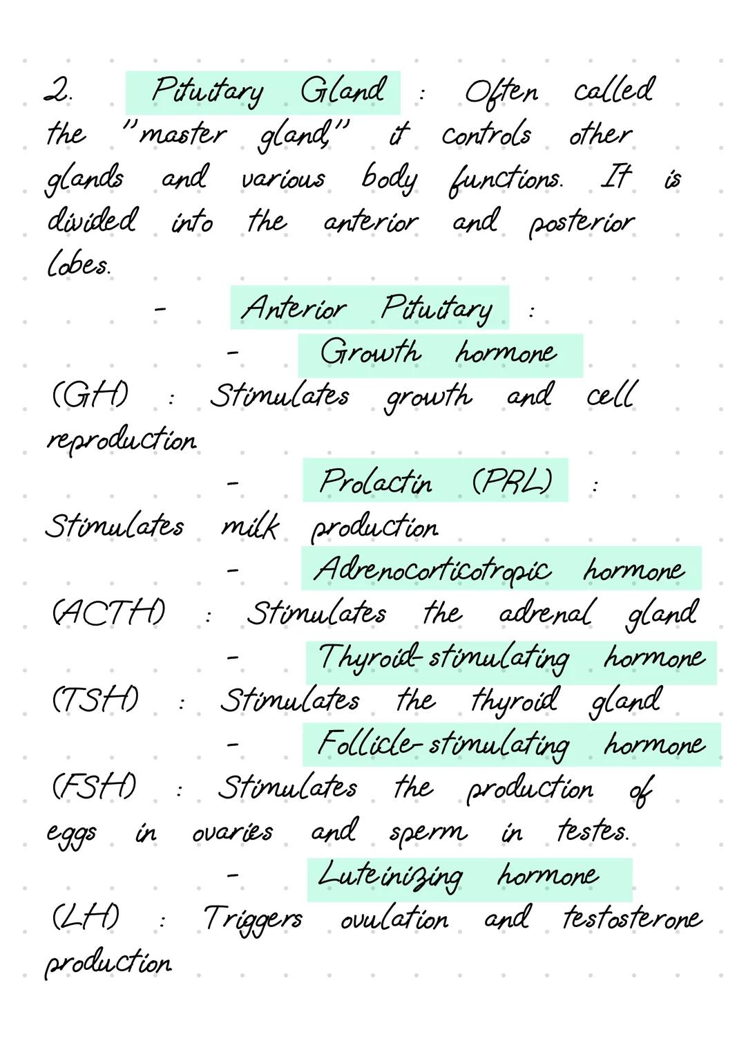 The endocrine system is
a
network of
glands that produce and release hormones
to regulate various body functions. Here's
a
detailed explanat