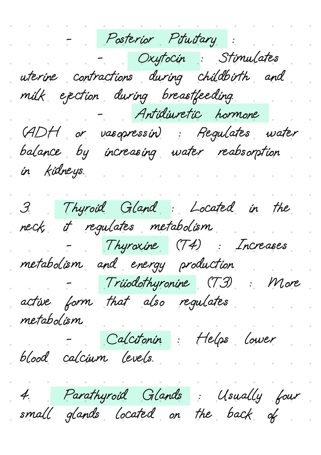 The endocrine system is
a
network of
glands that produce and release hormones
to regulate various body functions. Here's
a
detailed explanat