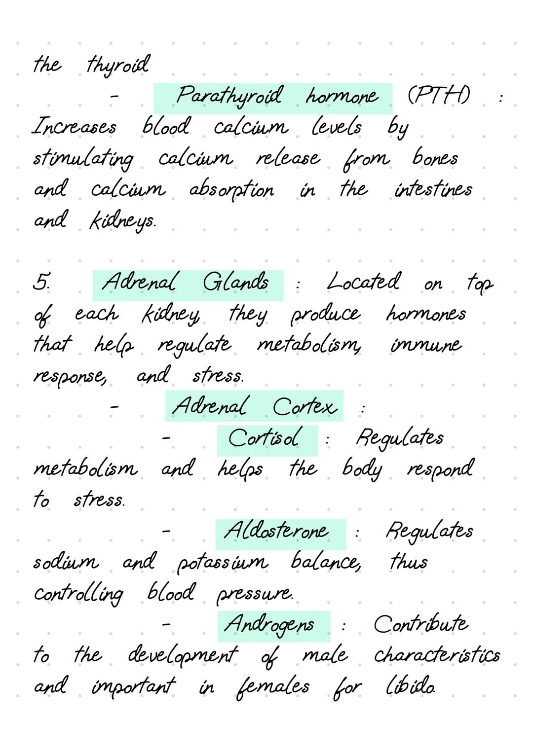 The endocrine system is
a
network of
glands that produce and release hormones
to regulate various body functions. Here's
a
detailed explanat
