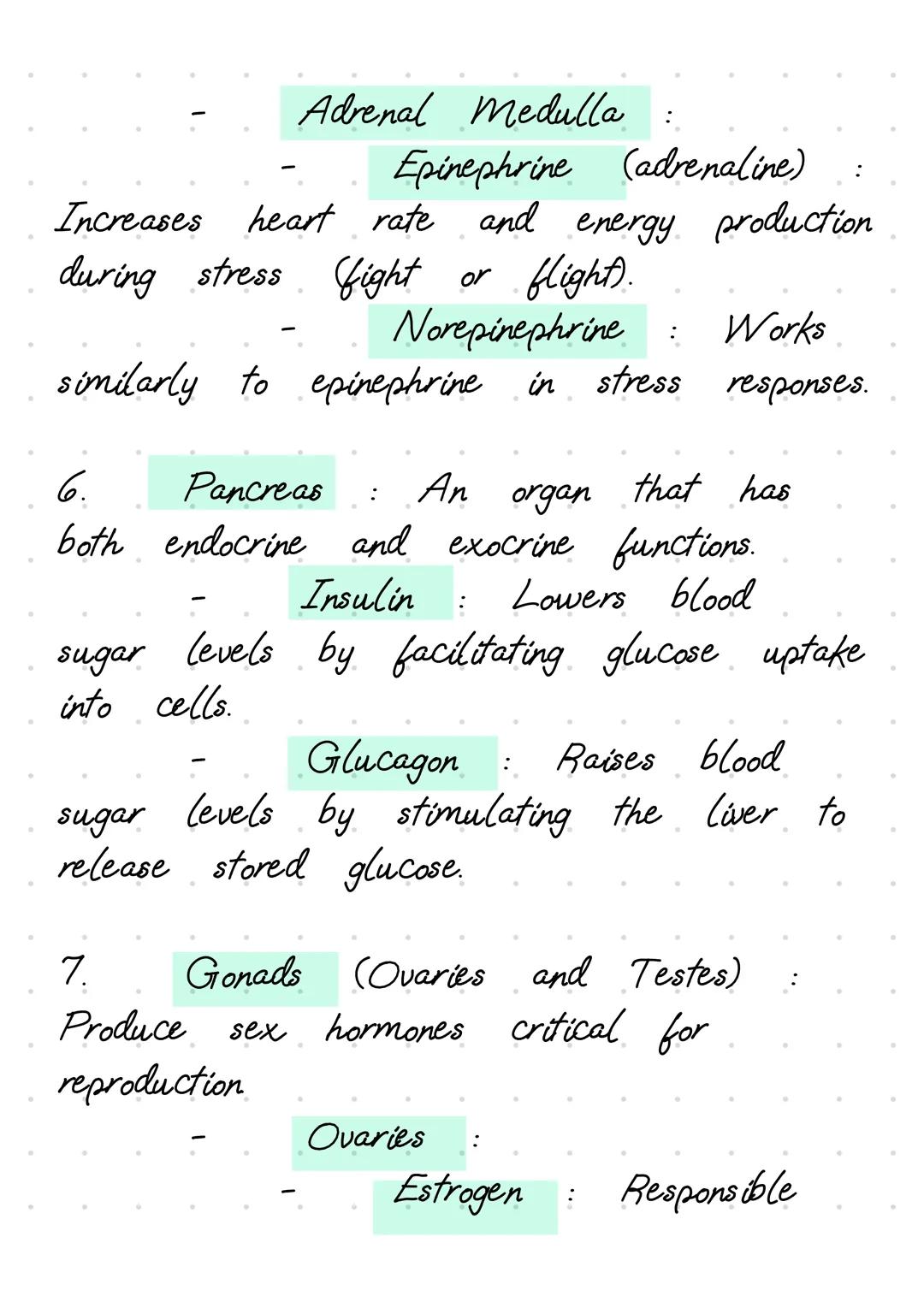 The endocrine system is
a
network of
glands that produce and release hormones
to regulate various body functions. Here's
a
detailed explanat
