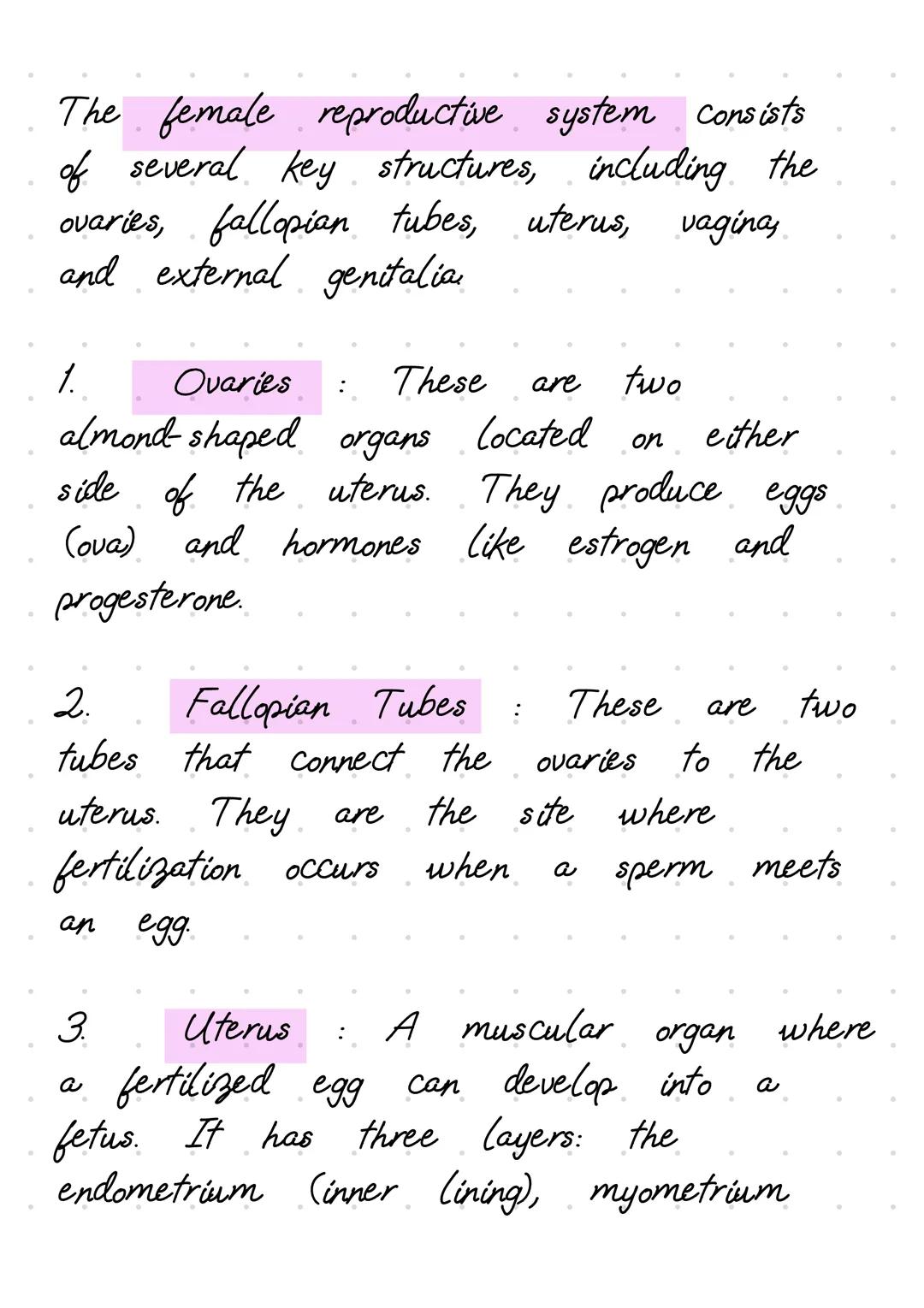 The female reproductive system consists
of several key structures, including the
ovovaries, fallopian tubes, uterus, vagina,
and external ge