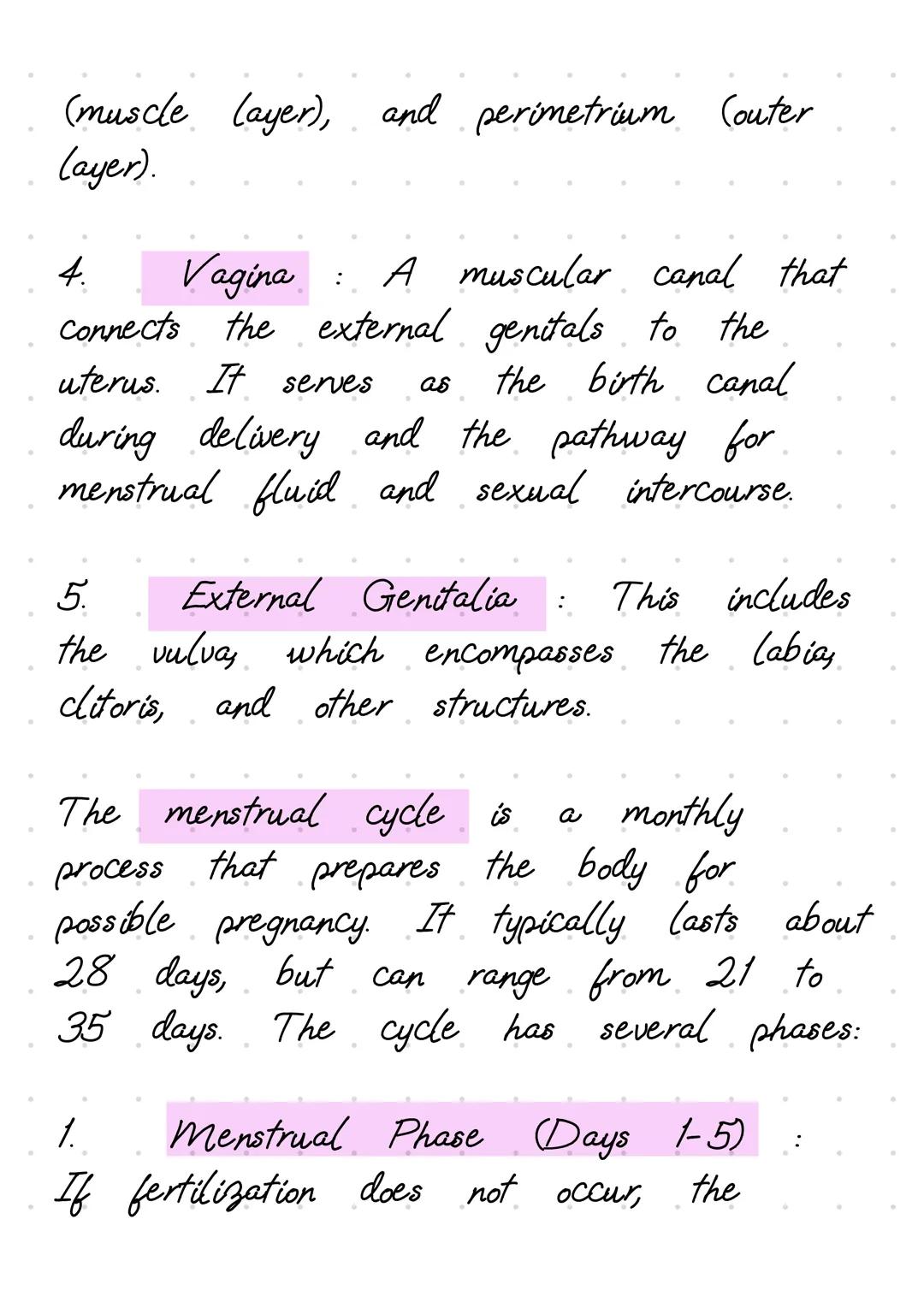 The female reproductive system consists
of several key structures, including the
ovovaries, fallopian tubes, uterus, vagina,
and external ge