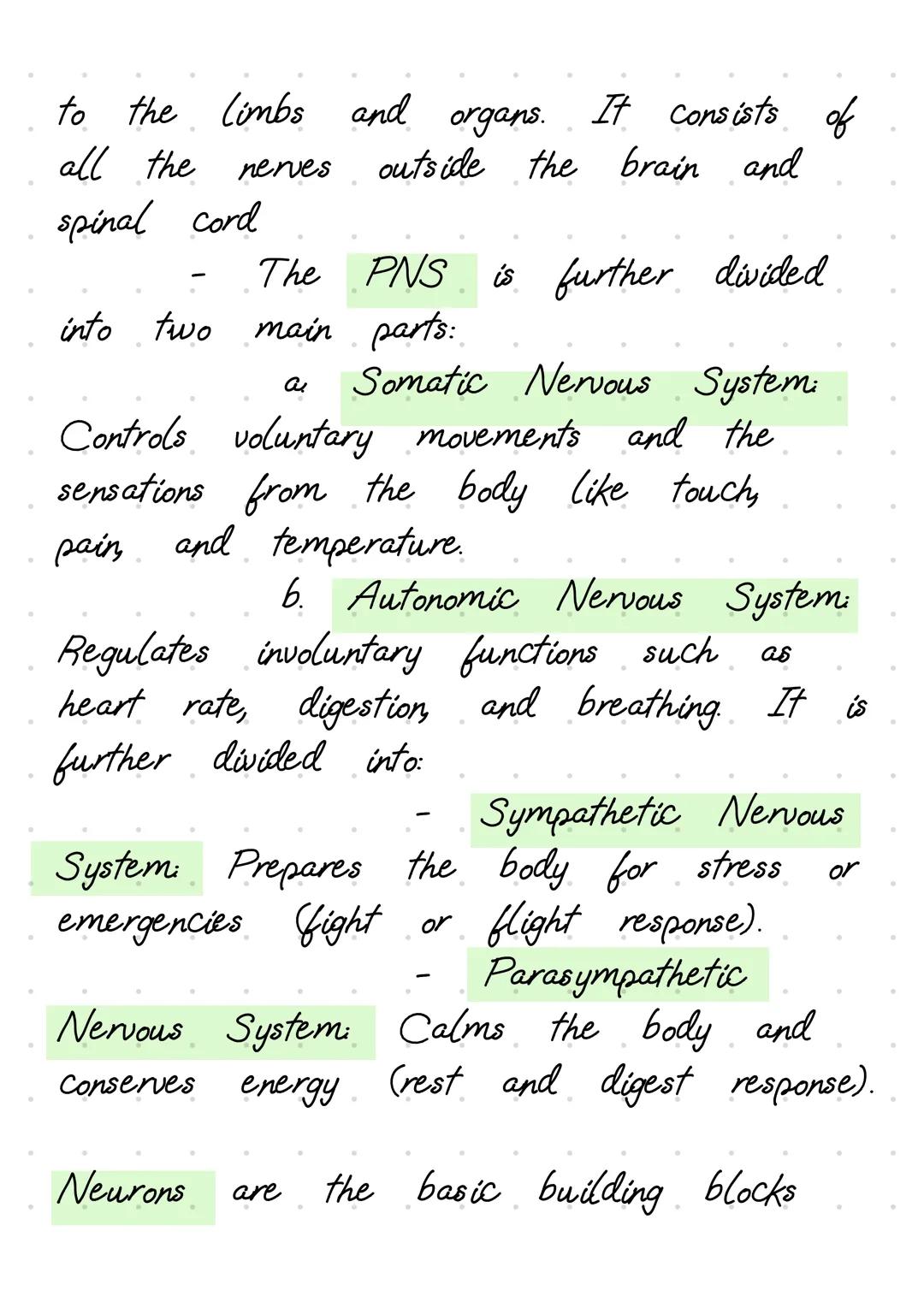 The nervous system is a complex
network that coordinates and controls the
body's activities. It is primarily divided
into two main parts: th