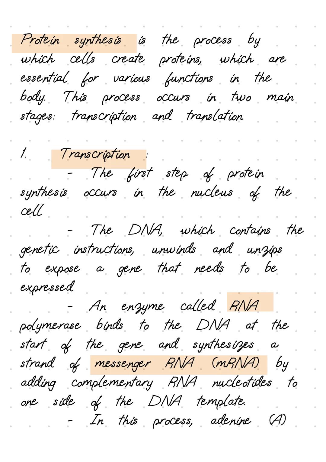 Protein synthesis is the process by
which cells create proteins, which are
essential for various functions in the
body. This process occurs